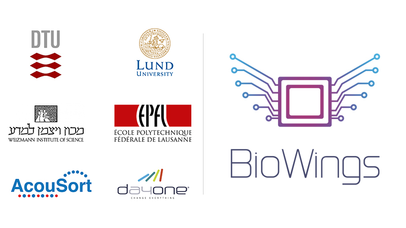 BioWings consortium